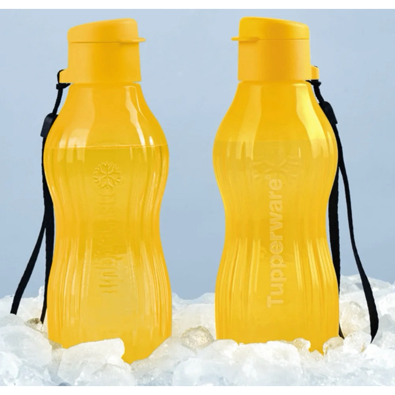 Garrafa de água eco Tupper freezer tupperware com cordinha 470 ml