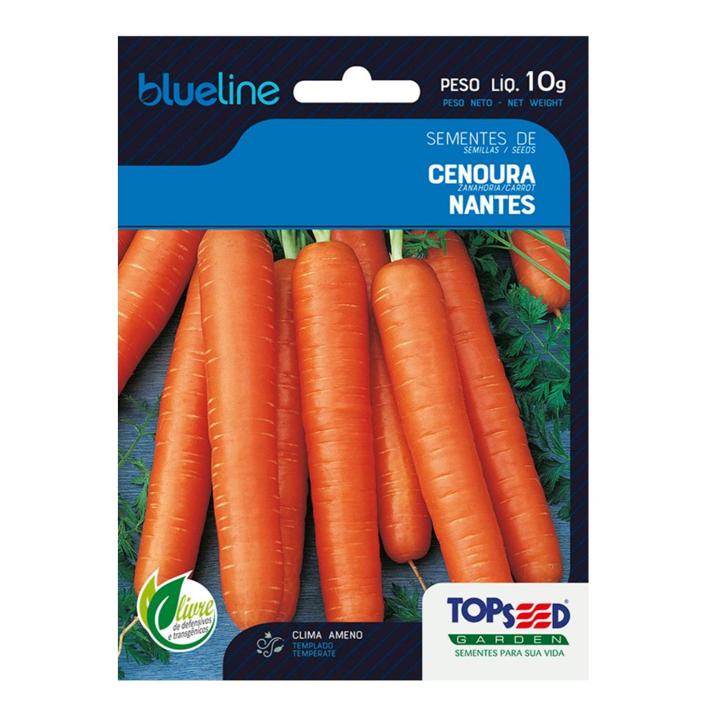 6.000 SEMENTES DE CENOURA NANTES - CENOURA CILINDRICA em Oferta na Shopee