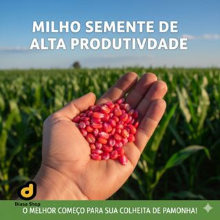 Sementes de Milho para Plantio – Ideal para Pamonha, Curau, Milho Verde e Colheita Caseira em Oferta na Shopee