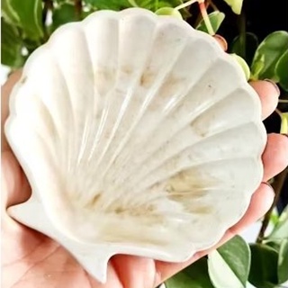 Bandeja - Porta Joias Concha Concreto  Decoração Minimalista em Oferta na Shopee