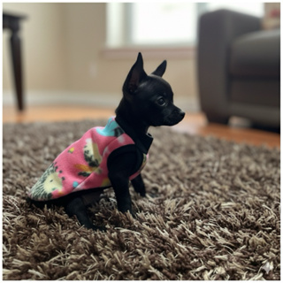 Roupinha RN em soft para filhotes de Pinther - 20cm de comprimento extra pequena cães -cachorro em Oferta na Shopee