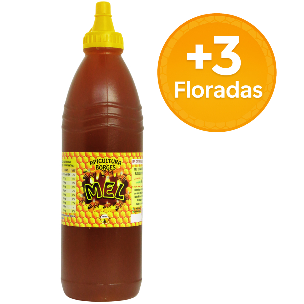 Mel Puro de Abelhas 1 Litro (1,4 kg) – Florada Silvestre / Laranjeira / Eucalipto / Assa-Peixe em Oferta na Shopee