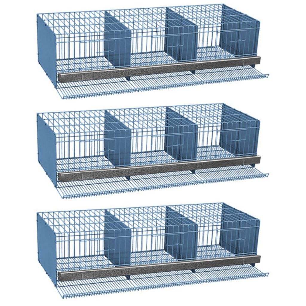 Kit 3 Gaiola Codorneira Gigante Codorna Poedeira Gaiolas Londrina 42 Codornas comuns 24 Codorna Gigante P058 em Oferta na Shopee