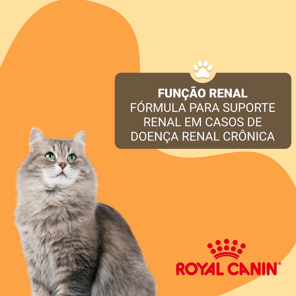 Ração Royal Canin Veterinary Renal Gatos Adultos 4kg — imagem 2 de 2