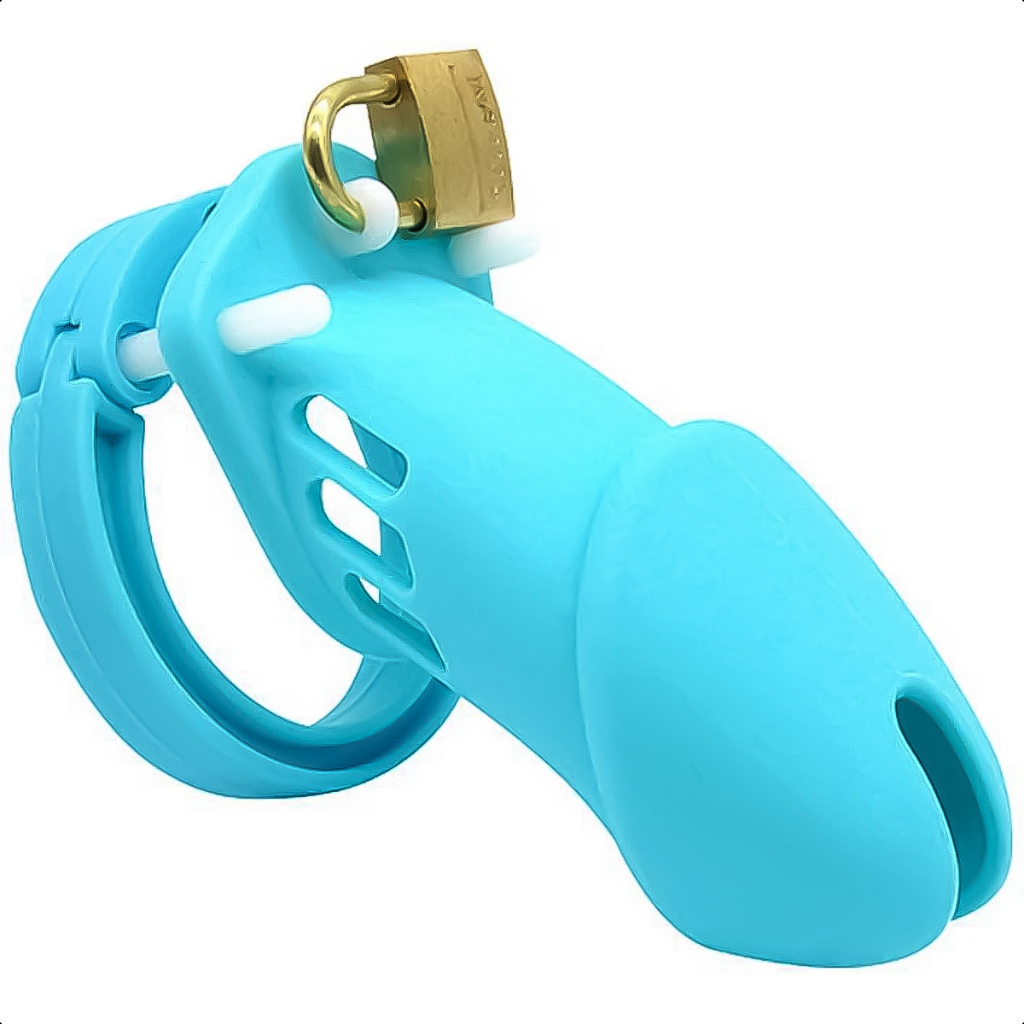 Cinto De Castidade Silicone Cadeado Pênis Excita Estimula Fetiche Dominar Casal Sado BDSM Sex Shop em Oferta na Shopee