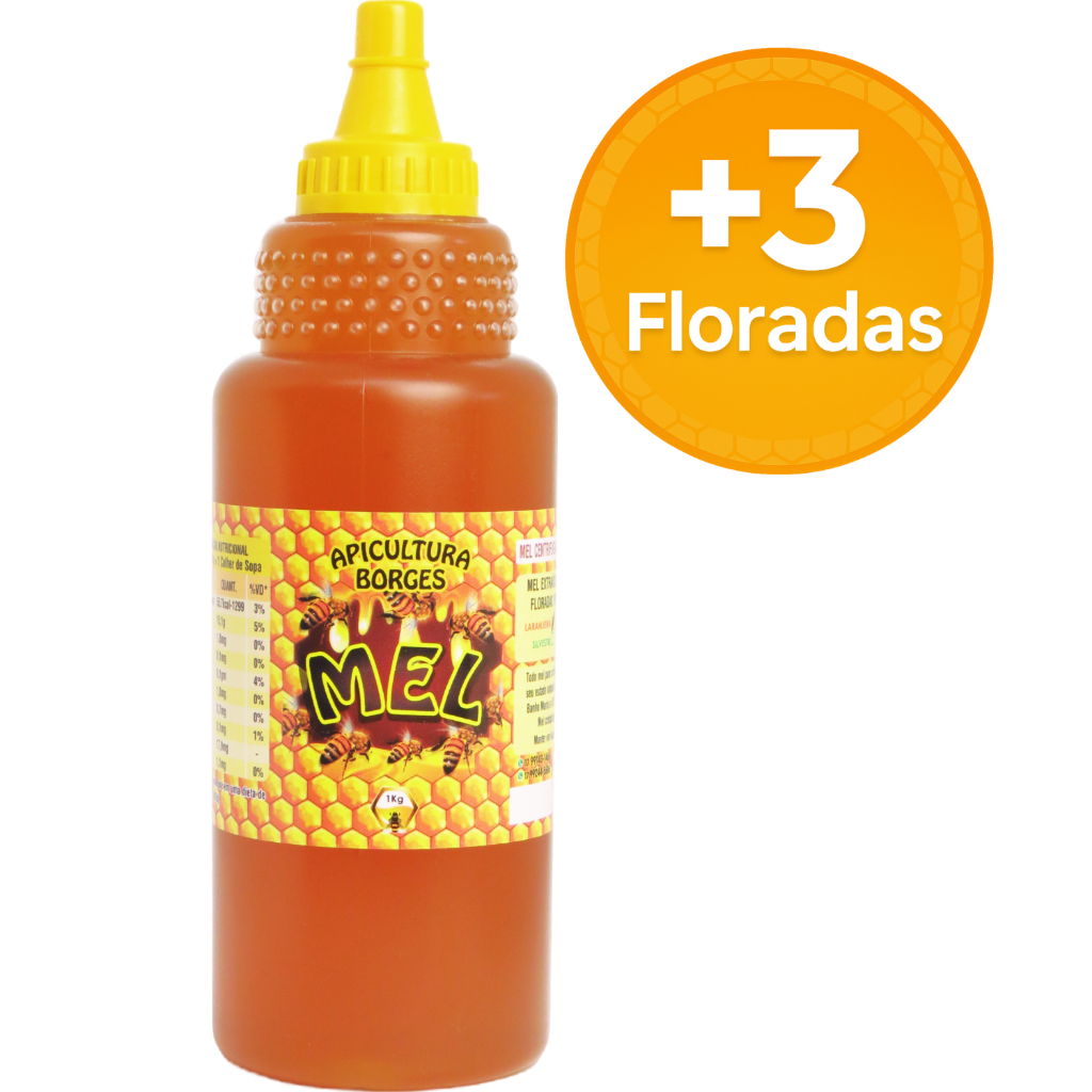 Mel Puro de Abelhas 1 kg - Florada Laranjeira / Silvestre / Assa-Peixe / Eucalipto