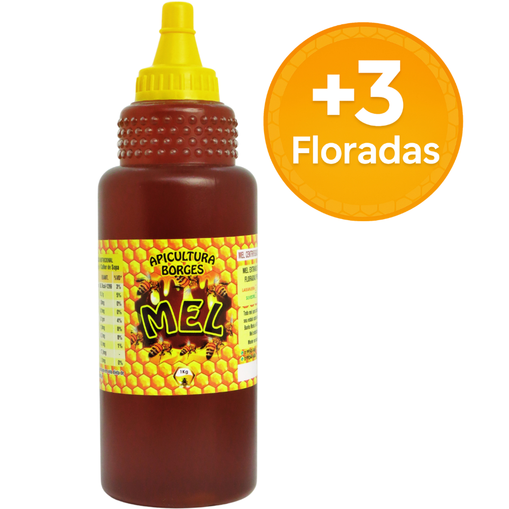 Mel Puro de Abelhas 1 kg -  Florada Eucalipto / Silvestre / Laranjeira / Assa-Peixe em Oferta na Shopee
