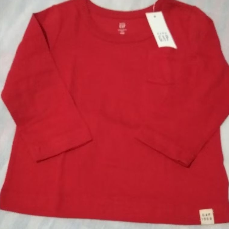 Camiseta Manga Longa Gap Original Baby Roupa de Menino Infantil