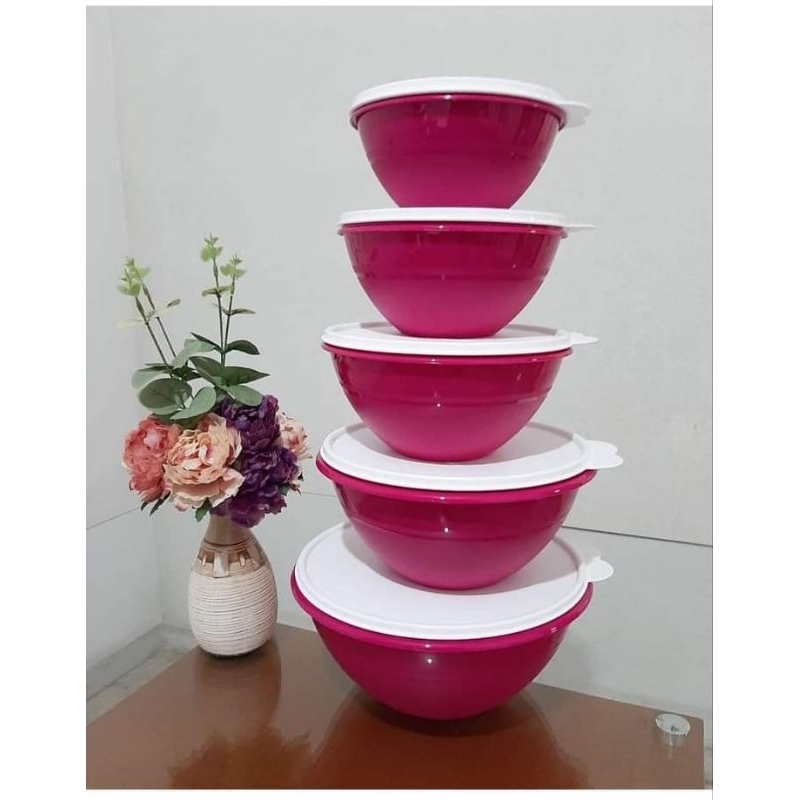 Tupperware Tigelas Maravilhosas da Tupperware