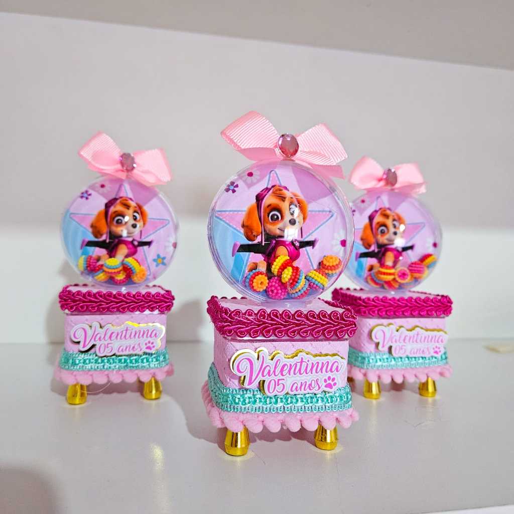 Caixa Acrilica Personalizado  Skye Patrulha Canina / kit festa Skye / lembrancinha Skye