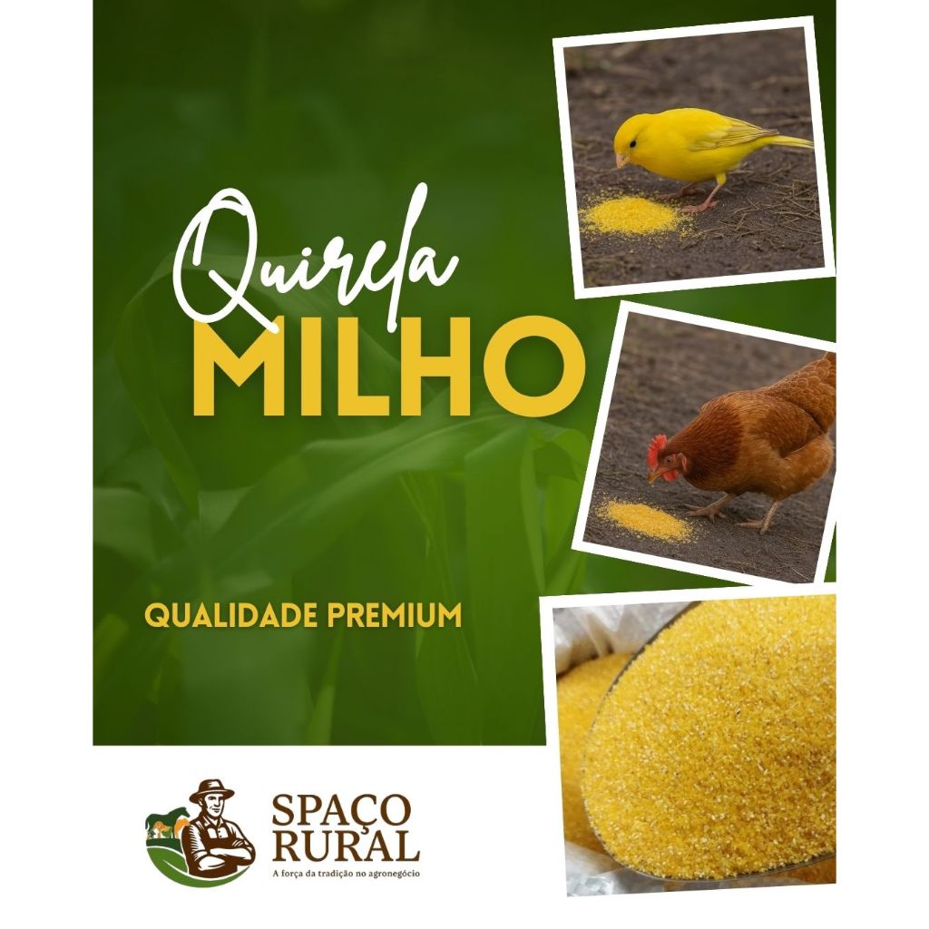 QUIRELA MILHO 3KG FINA, MEDIA OU GROSSA PARA ALIMENTAÇÃO ANIMAL