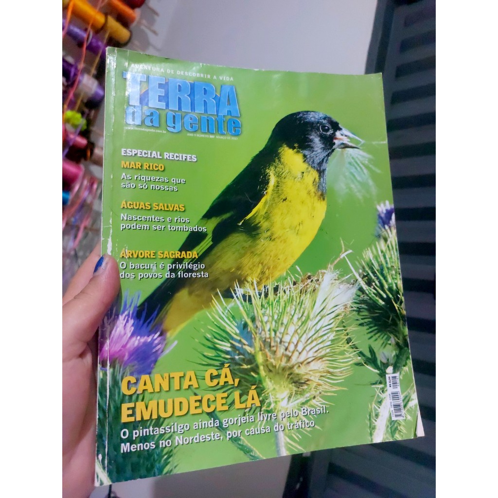 Revista terra da Gente nº107