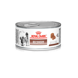 Kit 5 Ração Úmida Royal Canin Lata Veterinary Diet Recovery para Cães e Gatos em Recuperação - 195 g