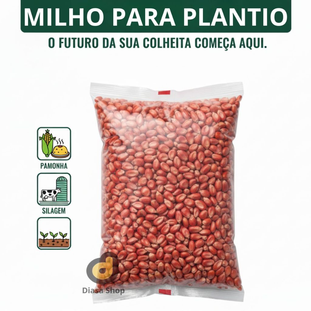 Sementes de Milho Doce para Plantio – Alta Germinação e Sabor Natural em Oferta na Shopee