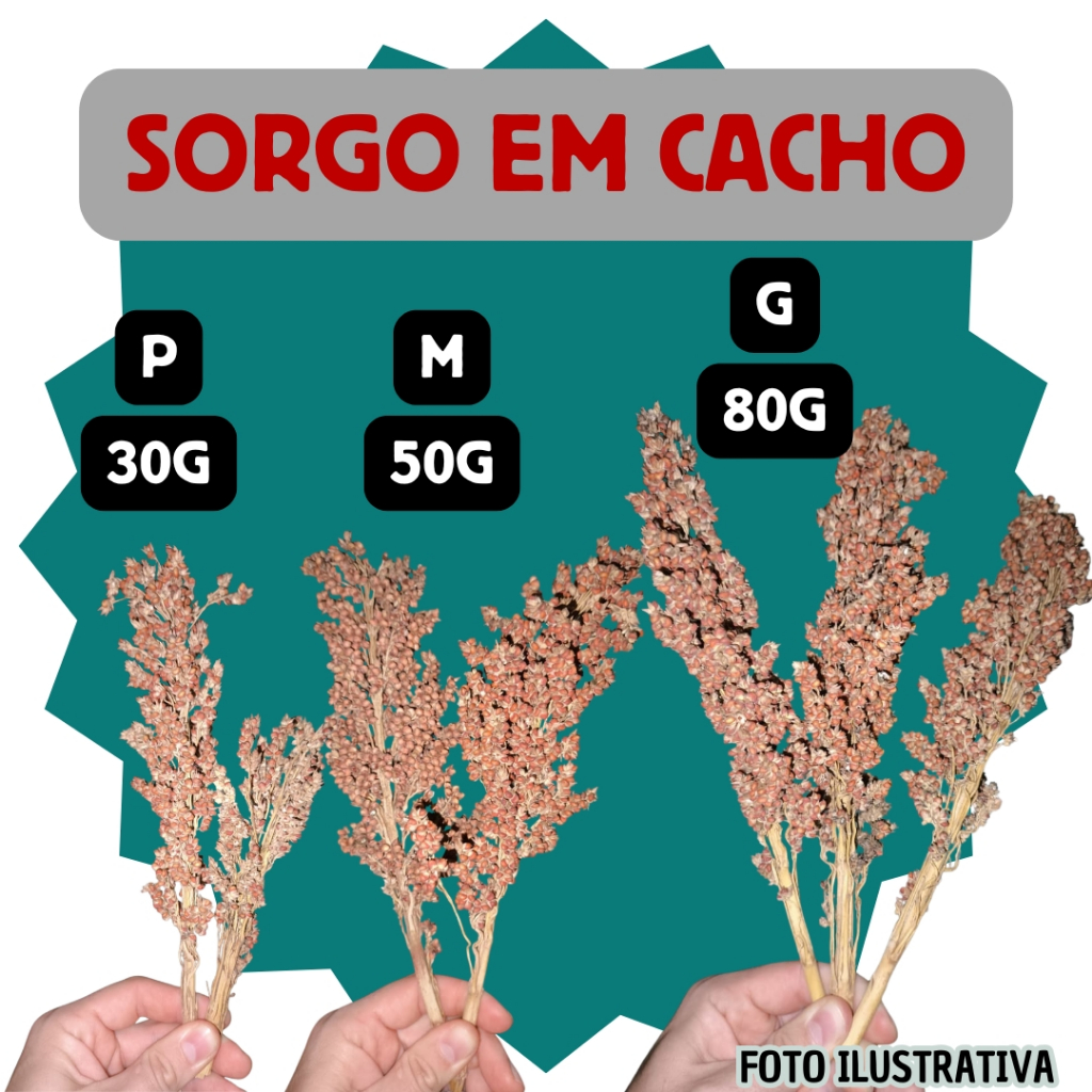 Sorgo em Cacho Natural (Sorghum Spray) para Pássaros e Roedores