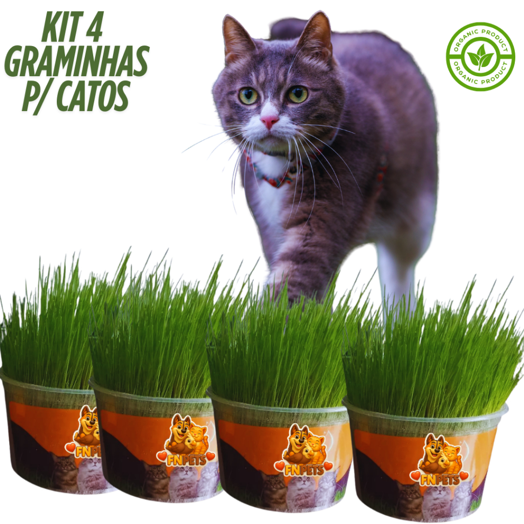 Graminha Digestiva Natural Orgânica para Gatos – Elimina Bolas de Pelo | FN Pets Premium
