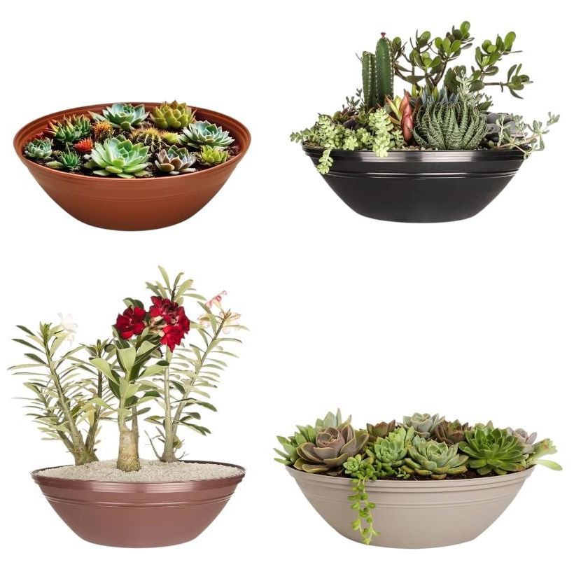 Kit 2 Vaso Terrário 12,5 Litros para Plantas | Jardim Decorativo