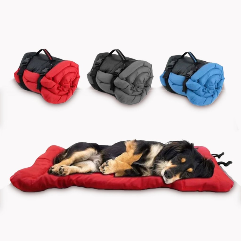 Cama Para Cachorro Pet Portátil Dobrável Impermeável Gato Passeio Viagem Colchão Colchonete Durável