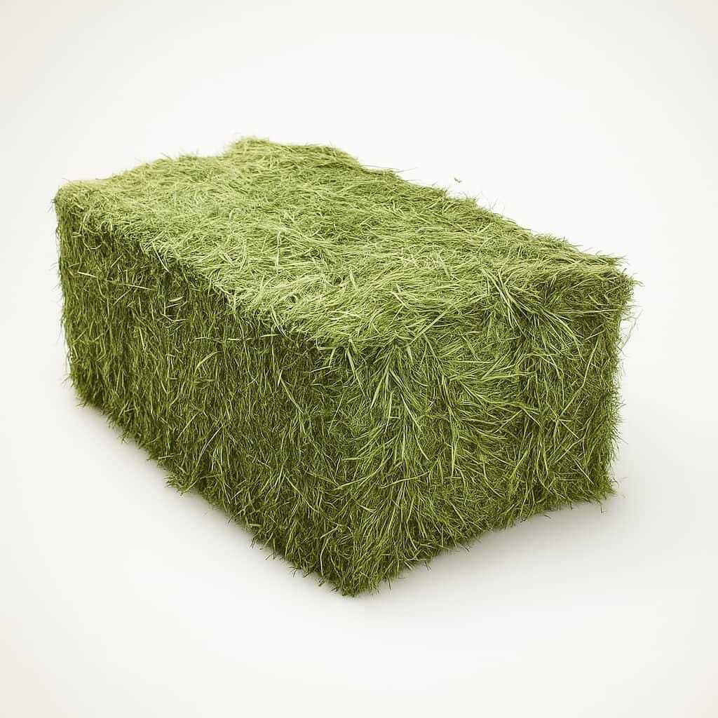 Feno Verde Coelho e Roedores Premium Excelente - ENVIO IMEDIATO em Oferta na Shopee