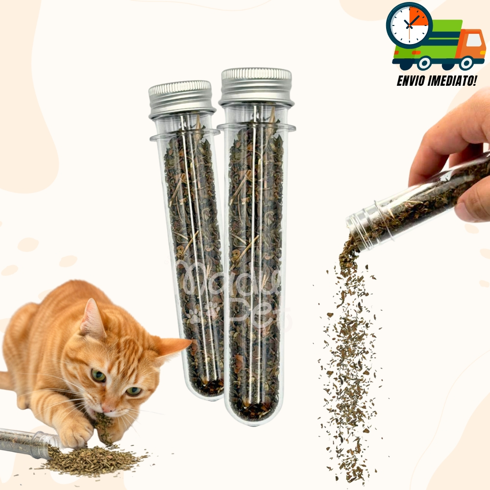 Catnip Para Gatos Erva Natural Premium Promoção Envio Imediato em Oferta na Shopee