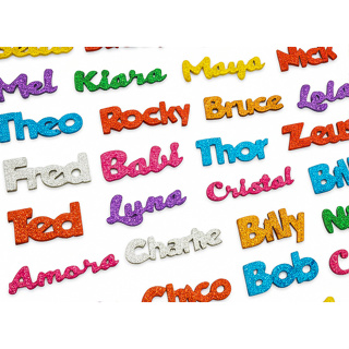 100 Adesivos Pet Coleção Nomes Banho E Tosa Aplique Lacinho PetShop Cães e Gatos em Oferta na Shopee