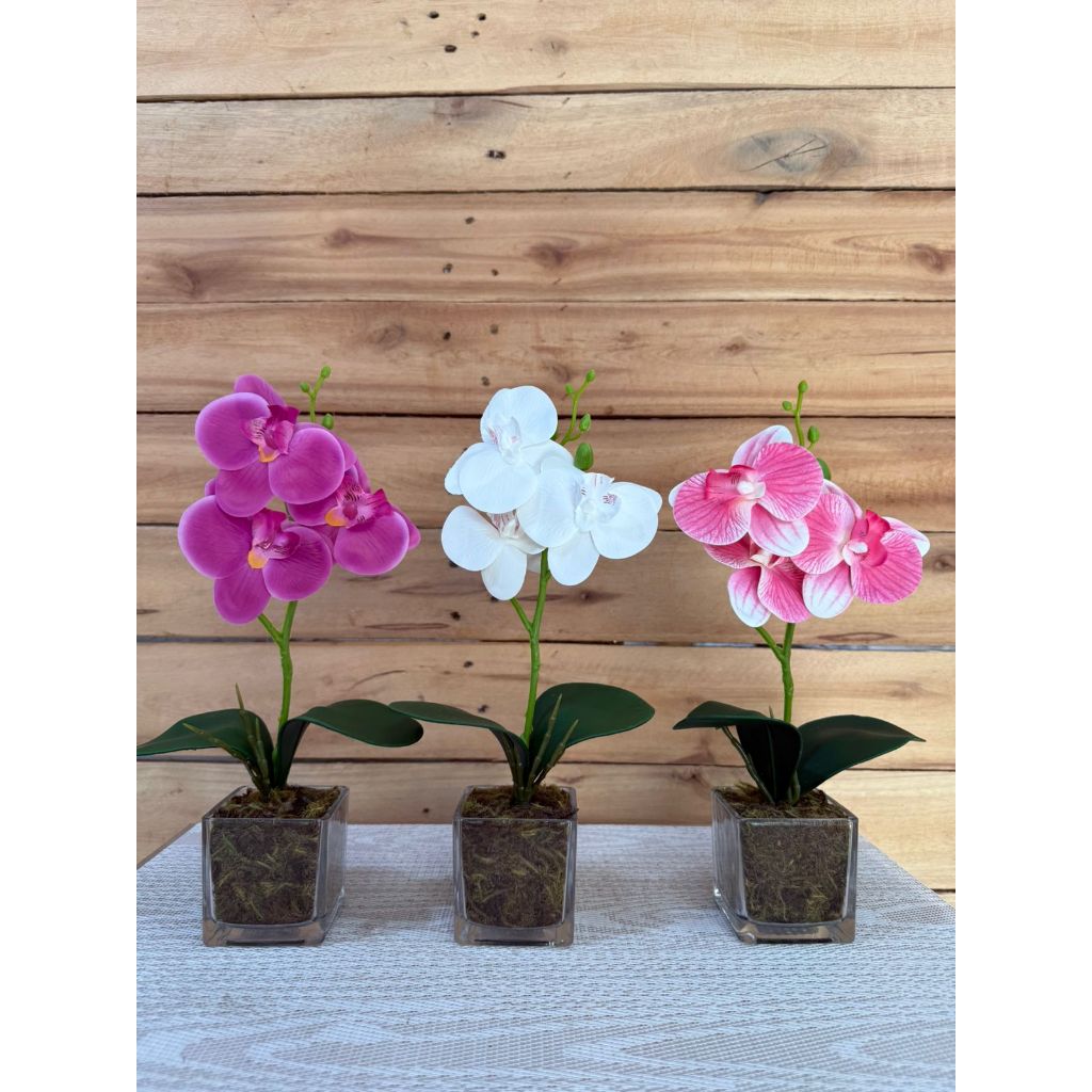 trio de mini orquídeas vaso espelhado/vidro