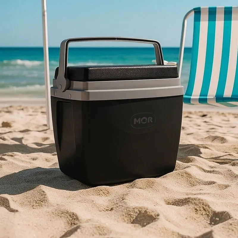 Detalhes do Caixa Térmica Plástica Para Praia Camping Viagem Com Alça 12 Litros Capacidade 13 Latinhas