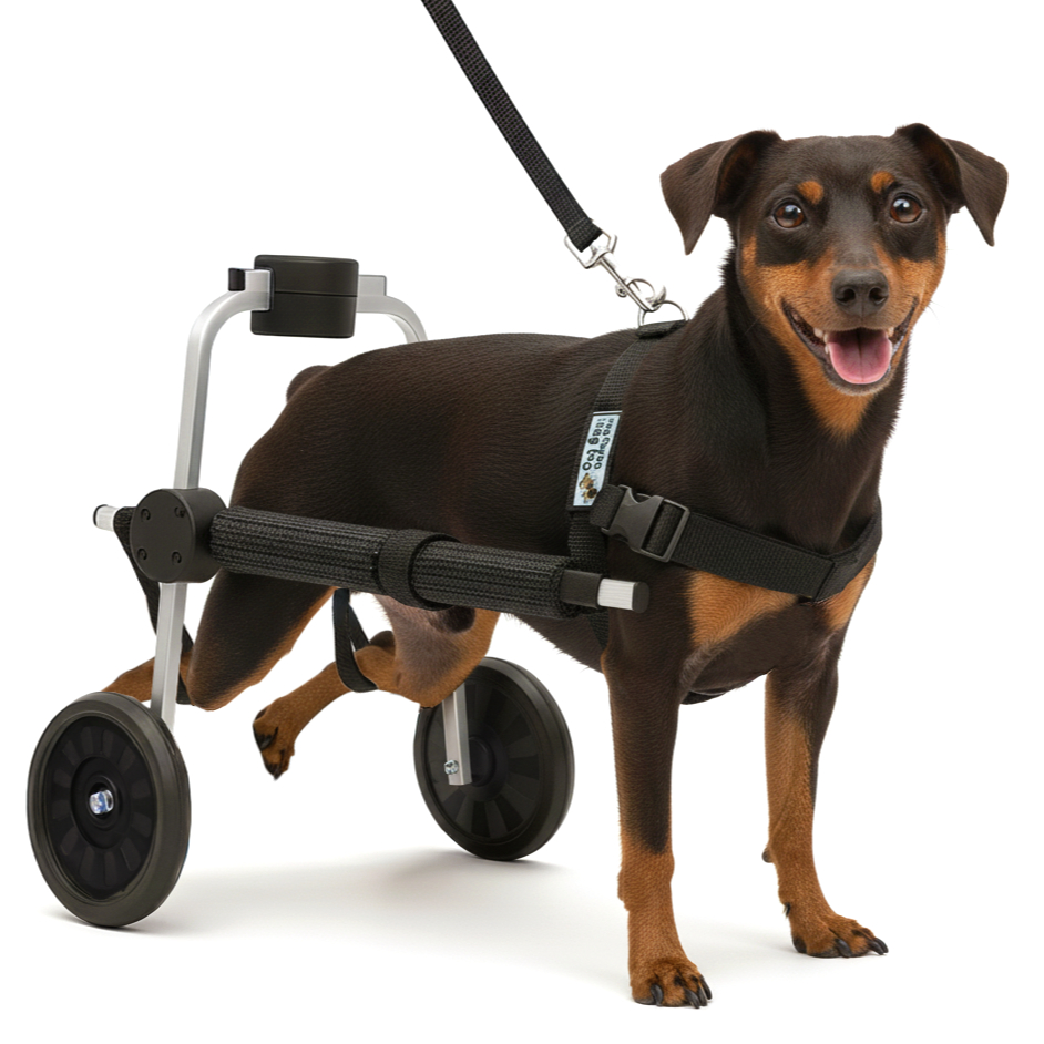 Cadeira 2 Rodas Tamanho MICRO Cachorro Traseira Regulável Deficiente Paraplégico