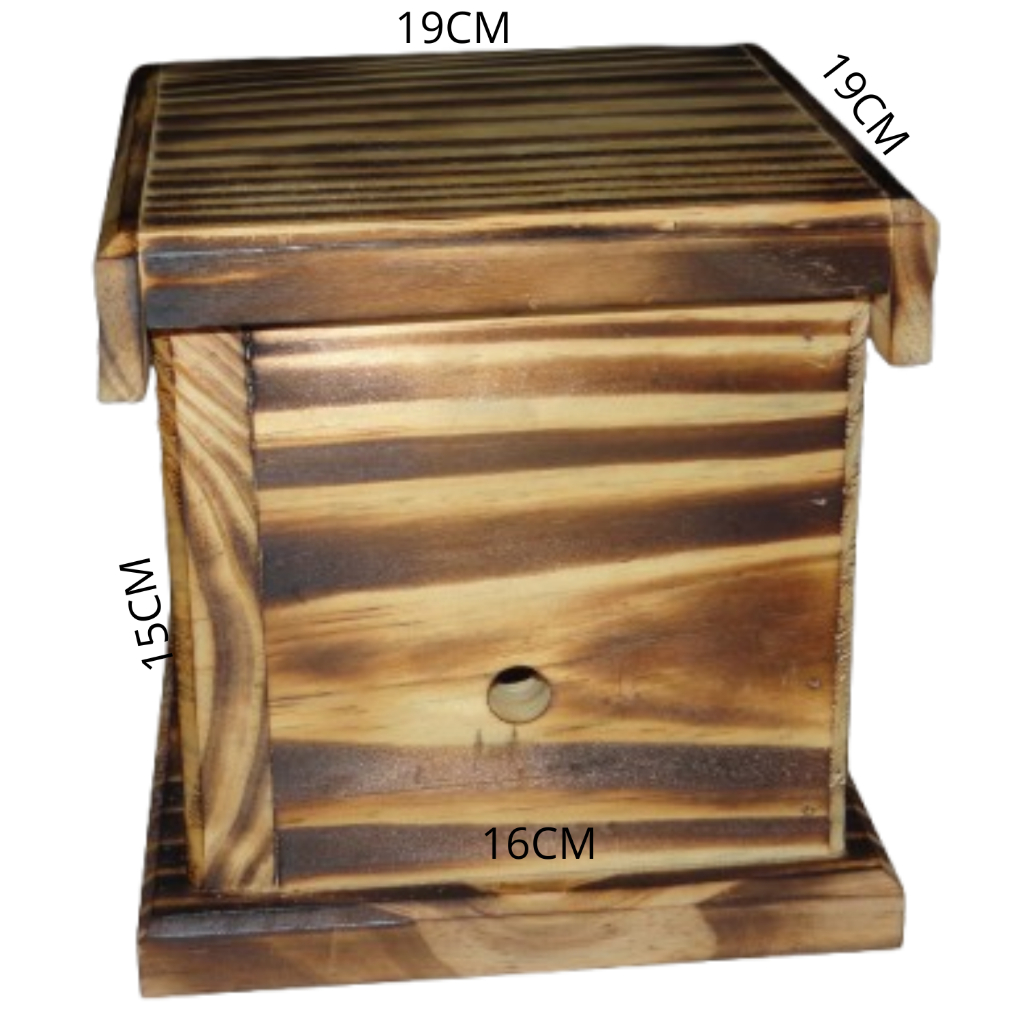 Caixa Para Abelha Sem Feirão Jataí Ninho Isca 12cmx12cm X15 CM DE ALTURA