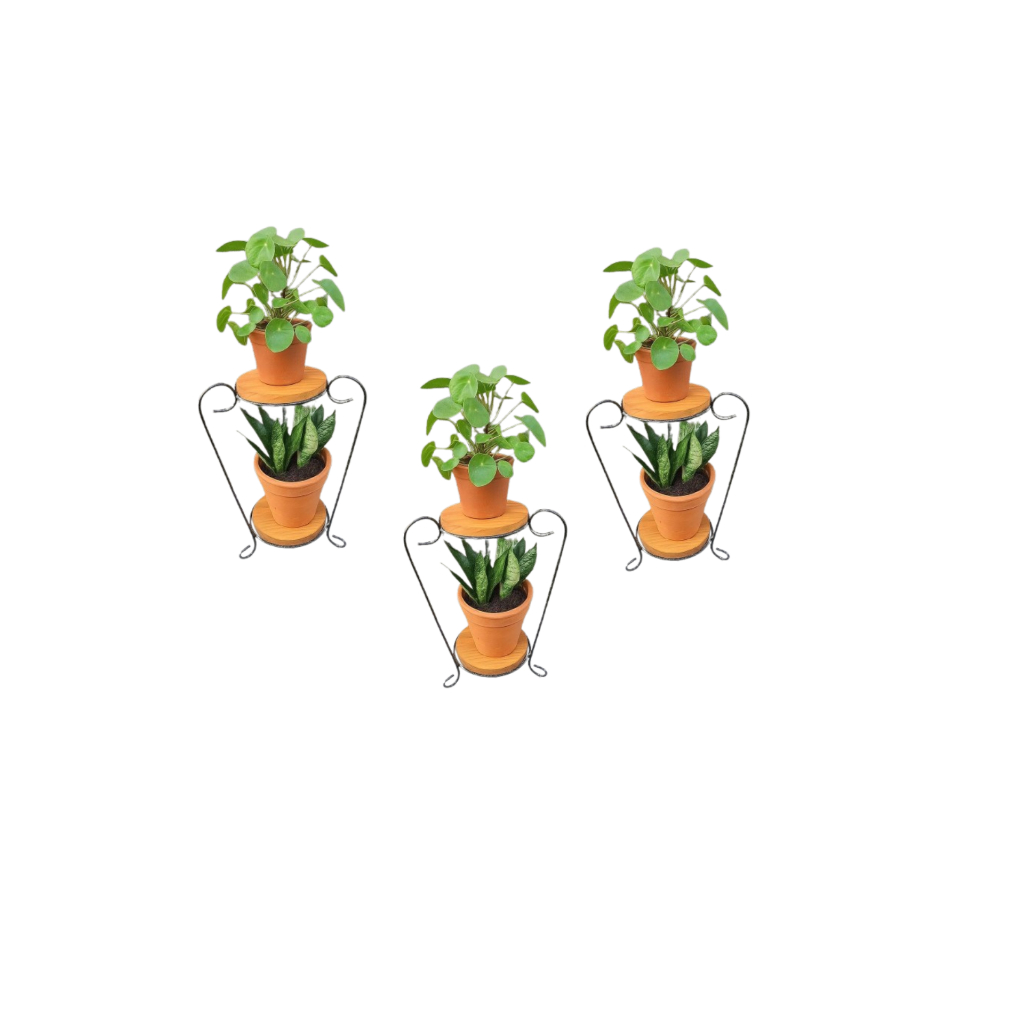 3 Estante compacta para jardim com dois planos e estrutura de ferro