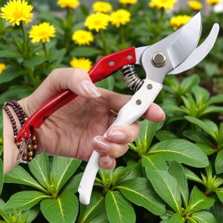 Tesoura de Podar Alicate de poda para jardins plantas arbustos lâmina Afiada trava mola cuidados com jardim bonsai flor em Oferta na Shopee