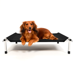 Cama Suspensa Cachorro Alumínio Lavável Ortopédica Tamanho M Médio Arejada Resistente Pet Best Soluções em Oferta na Shopee