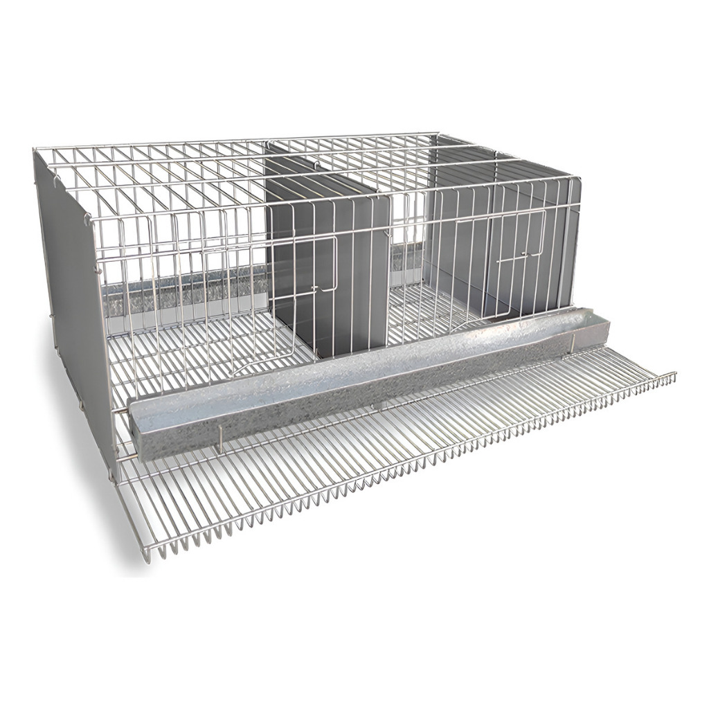 Viveiro Gigante: Onde Comprar | BuscaProdutos