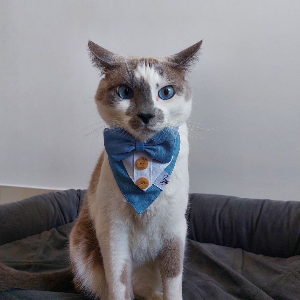 Bandana para Pet Animaliê Ken (Barbie) Luxo Dupla Face com Botão de Pressão