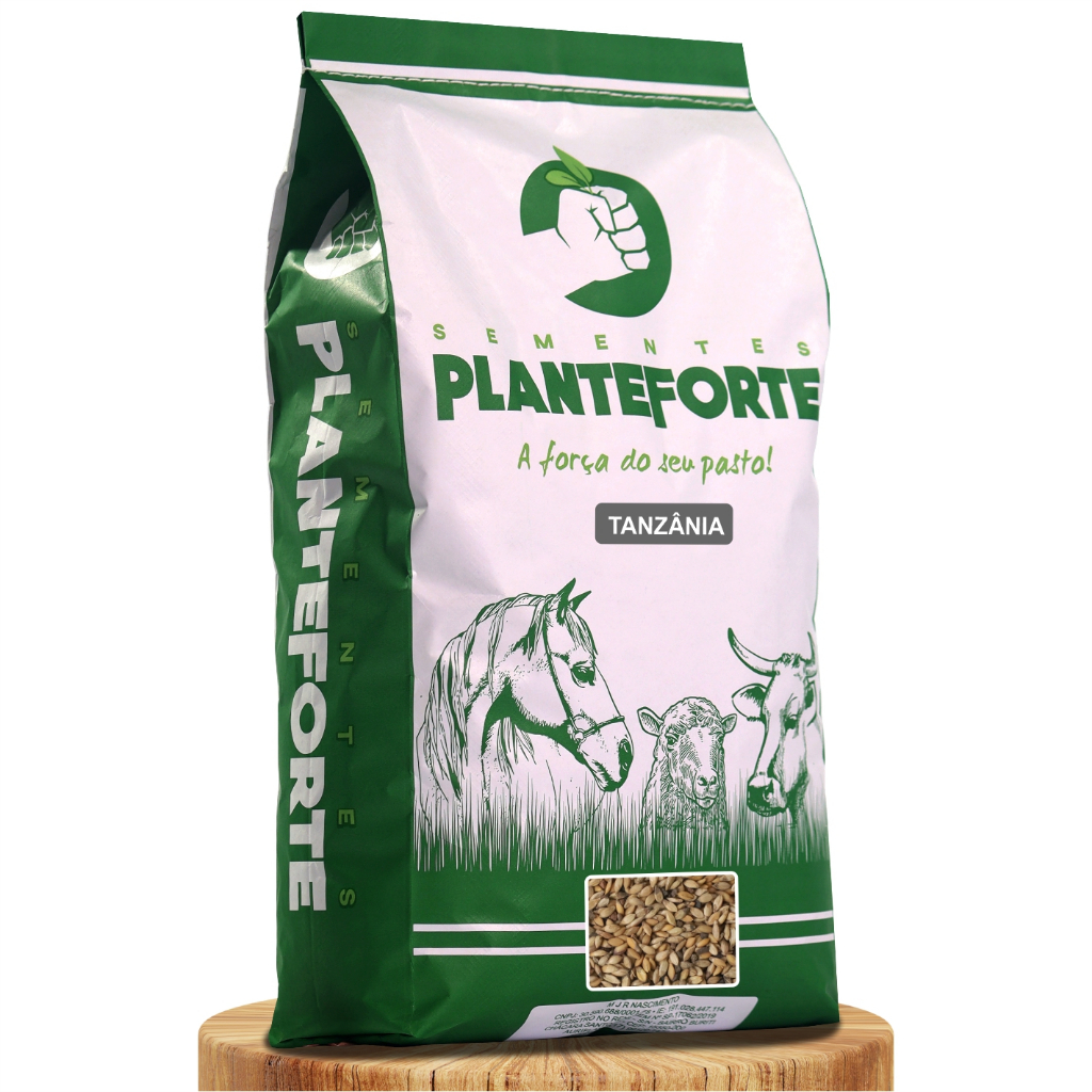 Semente Capim Tanzânia Convencional - 5kg em Oferta na Shopee