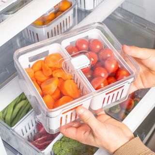 Organizador Alimentos Geladeira com cesto Único duplo 2,2L (20x15cm) Linha Clear Fresh - …