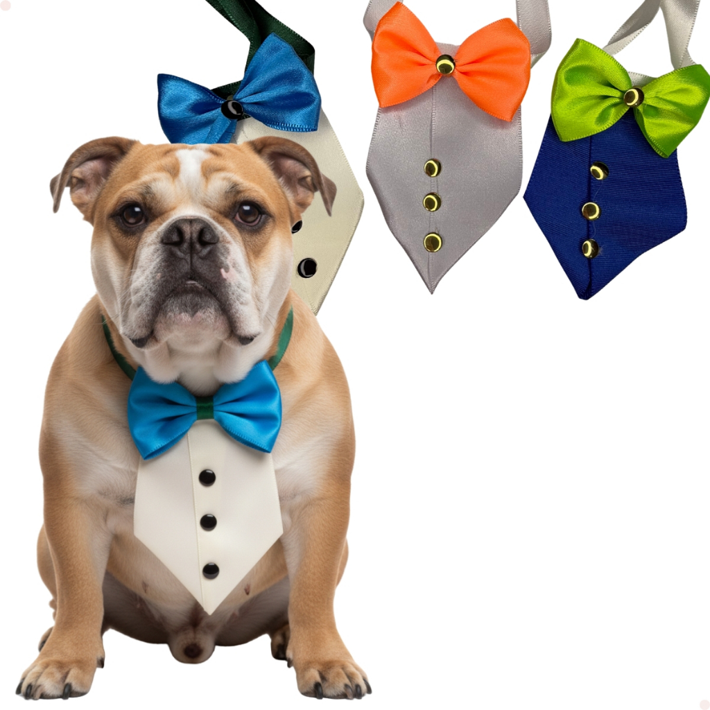 Kit Gravatas Pet Luxo Smoking Para Cães Banho e Tosa em Oferta na Shopee