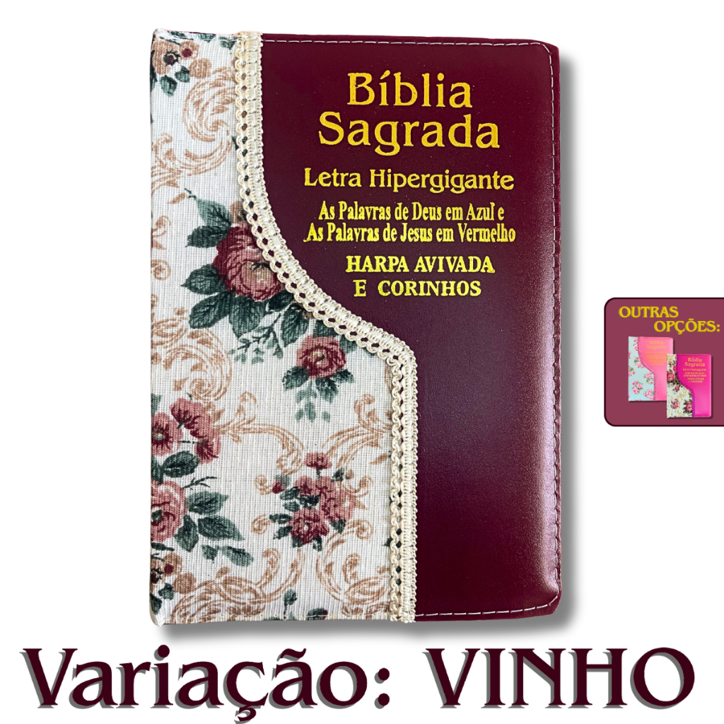 Bíblia Sagrada Evangélica Zíper: Onde Comprar | BuscaProdutos