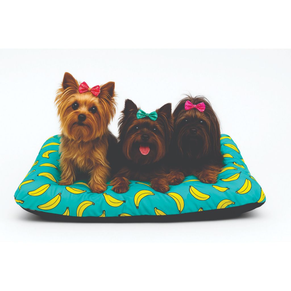 Caminha Futon Pet Tamanho Médio para Cachorro Gato Cães com Zíper Colchonete Cama