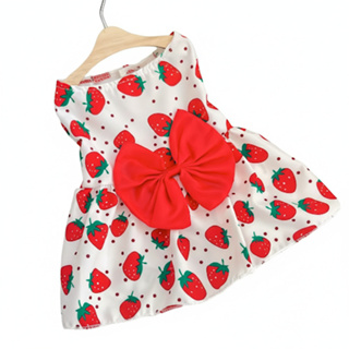 Vestido Pet Com Laço Estampas Frutas E Flores em Oferta na Shopee