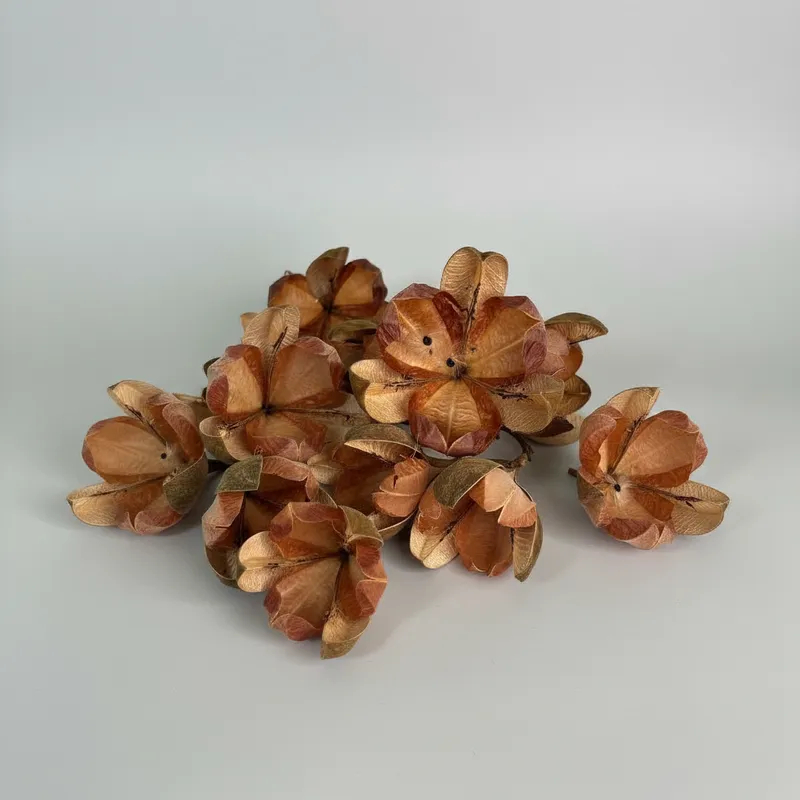 Rosa Tefé Natural Desidratada – para Arranjos, Buquês, Artesanato e Decoração – 10 unidades em Oferta na Shopee