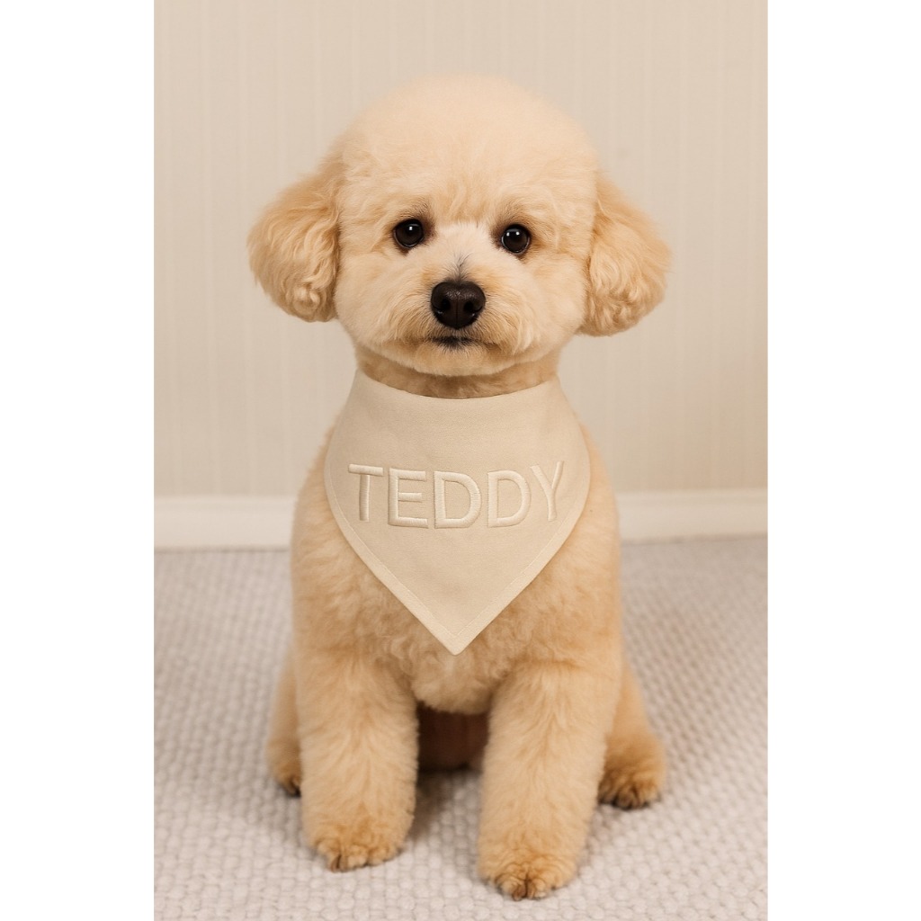 bandana pet tecido algodão cru personalizada com o nome do pet bordado para pet shop, banho e tosa, cachorro