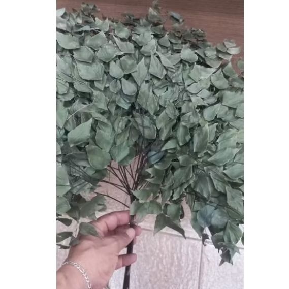 Maço folhagem de avenca natural desidratada com 10 hastes , buques ,arranjos e decoração