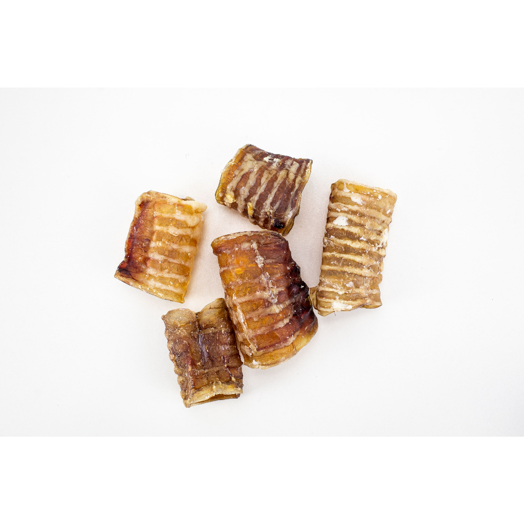 Mini Traquéia Mastigável 100% Natural - 5un em Oferta na Shopee