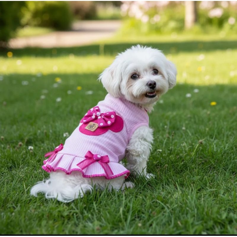 Vestido Minnie em Malha Para Cães Beta Moda Pet