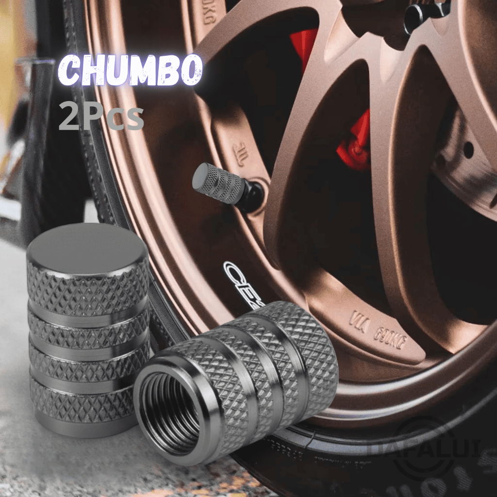 kit 2 Tampinha Tampas Válvula Pneu Bico Metal Alumínio Carro, Biquinho Bicicleta Cor Cinza Chumbo CZ em Oferta na Shopee