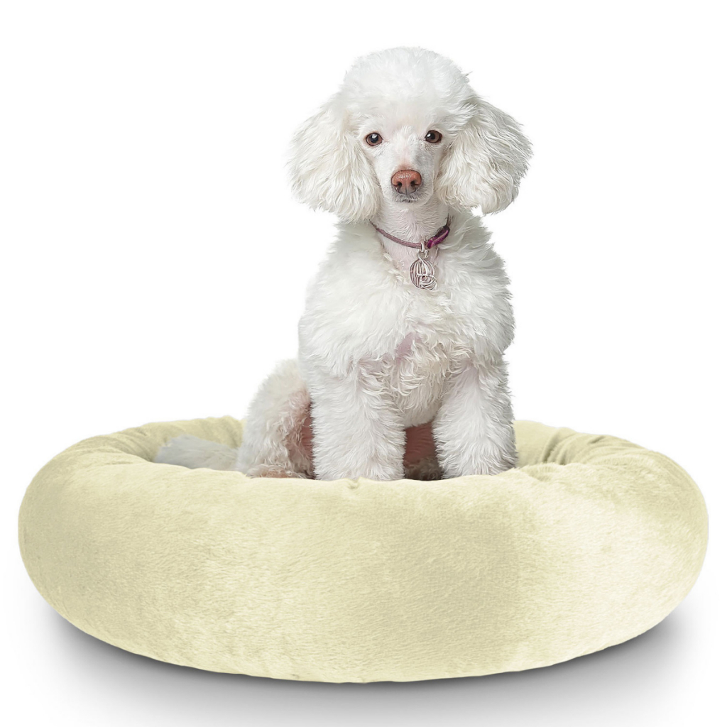 Caminha Pet Porte Médio Cães e Gatos Redonda Velboa Lavável Com Zíper Impermeável