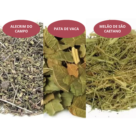 Kit Chá |Pata de vaca | Melão de São Caetano| Alecrim do campo|