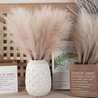 Buquê Haste de Capim dos Pampas Artificial Decoração Ramos de Pampas 55cm em Oferta na Shopee