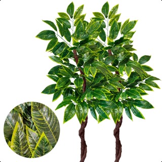 Kit 2 Brasileirinho Artificial Croton 150cm Sem Vaso Decoração em Oferta na Shopee